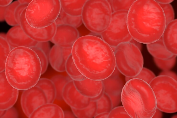 Red blood cells