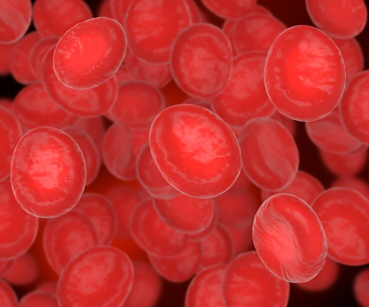 Red blood cells