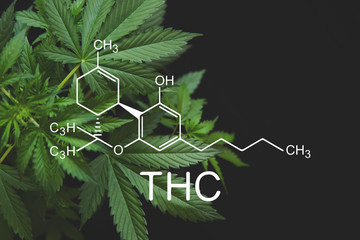 THC